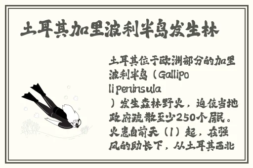 鲁大师电影